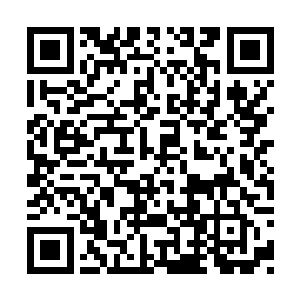 贝海的大方让三个小姑娘脸上的笑容更胜了几分二维码生成