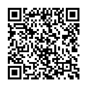 贝海的船队大家船上的渔获都己经捕的差不多了二维码生成