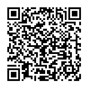 贝海看了大约十分钟坐回到了树下继续捧着自己的小说书美美的看了起来二维码生成