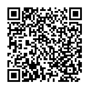 贝海给禹欢这些人准备的除了自家标准的好东西蓝鳍金枪鱼熏鱼之外二维码生成