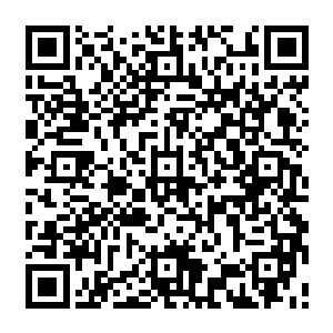 贝海老远就望到野马公司的老本尼己经把自己的运渔车开到了波纹号泊位旁的码头上二维码生成