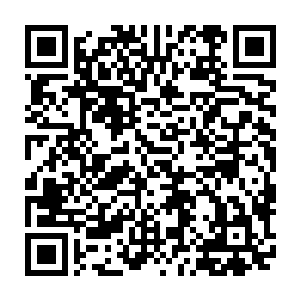 贝海蹲了一上午中午过去的时候发现俩老道的面前队伍明显的又长了一截子二维码生成