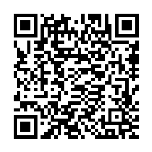 贝海转着看了一会儿之后就伸出脚在最近的一条鱼身上踢了一脚二维码生成