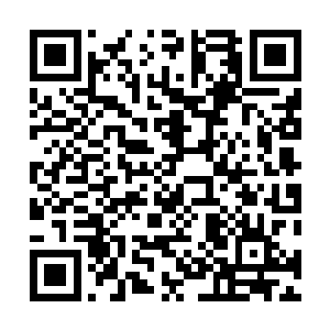 贝海还没有熟悉千万富翁就要学着适应亿万富豪的生活了二维码生成