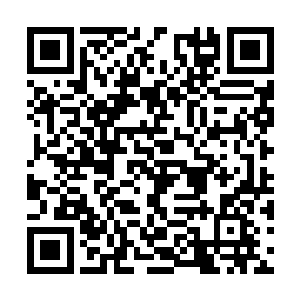 贝海这个渔夫己经不是简单意义上的打渔卖鱼的了二维码生成