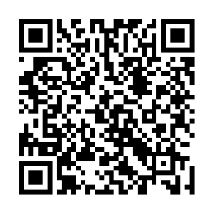 贝海这话说的也不知道是想安慰惊慌的小羊羔们还是恐吓了二维码生成