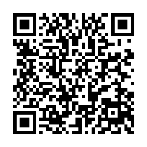 贝海这边伸手把肩膀上搭着的领带往脖子上一套二维码生成