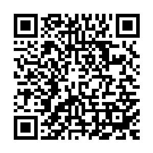 贝海这边刚想说这句话可惜的是话到了嘴边儿却被劳伦抢先了二维码生成