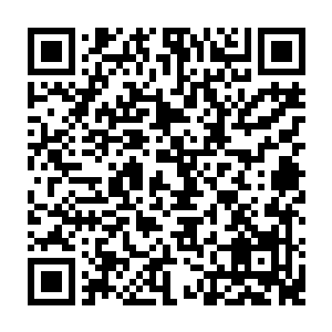 贝海这边困的眼睛都有点儿睁不开了哪还有什么心思管什么怪鱼不怪鱼的二维码生成