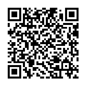 贝海这边大方的把月亮鱼直接交给了亚度尼斯这帮人折腾二维码生成