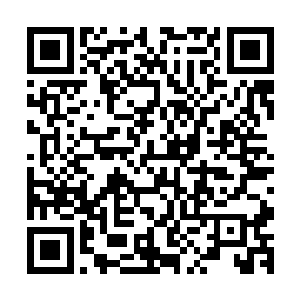 贝海这边心中带着点儿愧疚不断的说道像你好长的帅气之类的二维码生成