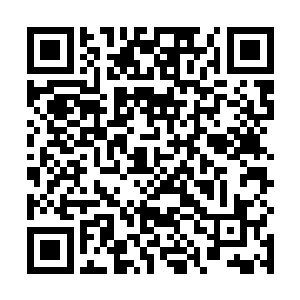 贝海这边用渔获作为抵压不是说这些渔获就一年不能动二维码生成