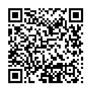 贝海这边转头看了一下自己这边三人中最开心的就是本尼了二维码生成