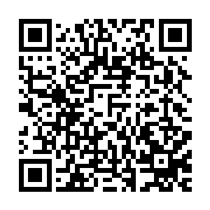 贝海这边还是有直系后代而且父子关系还挺好的都被律师建议二维码生成