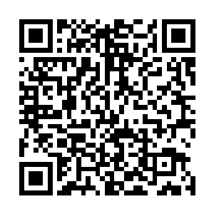 贝海通常还没有回答呢就被皮皮和囡囡两个小娃儿给抢先了二维码生成
