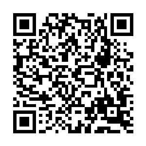 贝海都没有发现还有什么厉害的鱼类或者说是别的什么的二维码生成