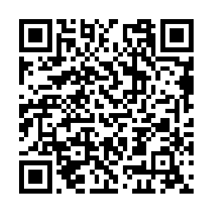 贝瑟尼出事前的故事要表现出她原本有的美好青春二维码生成