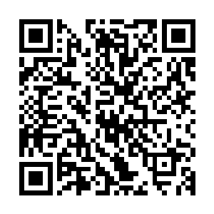 贝远明和鲁新萍俩年纪也大和范扬夫妻俩不可能有什么共同语言二维码生成