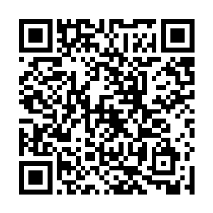 贝音瑶看着杨洛的目光一直盯着吕秀丽手里拎着的东西二维码生成