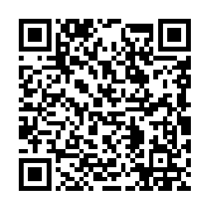 贝音瑶被杨雅欣和迟可馨还有迟月馨拉到房间聊天二维码生成