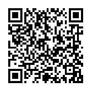 负手站在擎天大树下等消息的夏侯拓接到消息后也是吃了一惊二维码生成