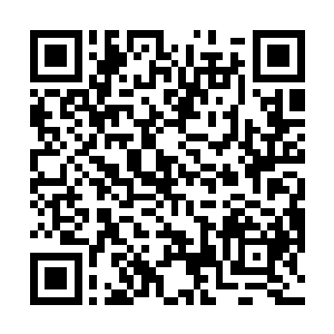 负责交接工作的是那位脑袋上头发已经秃了大半的院长二维码生成