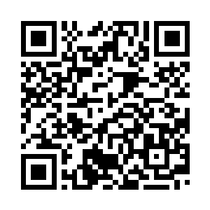 负责凌家在国内的第一批意向投资二维码生成