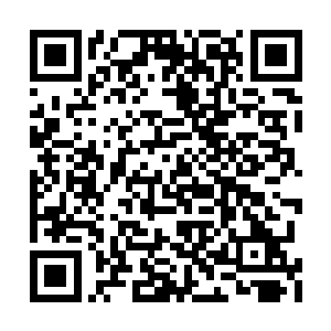 负责大小姐今后两年在凌海市的安全和生活起居二维码生成