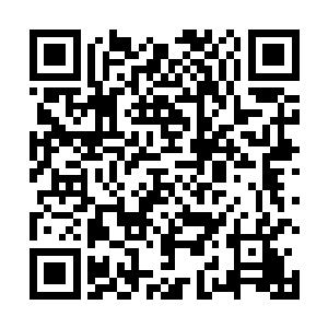 负责安抚民众情绪和为他们做出解释的人竟然是路易斯二维码生成