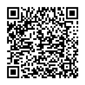 负责投资修建这座位于繁华地带大楼的恒天集团董事长直接就给跪了二维码生成