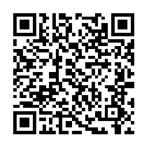 负责指导我们上场的老师朝我和雅文招了招手说道二维码生成