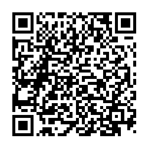 负责指挥这次营救行动的警察局长朴正明不断的用手擦着脸上的汗水二维码生成