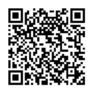 负责掌控以及最后调整连接阵纹的流墨墨和雪如楼二维码生成