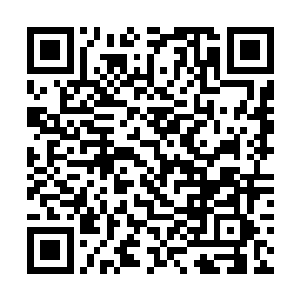 负责清除那些危害社会安定和国家安全的不确定因素二维码生成