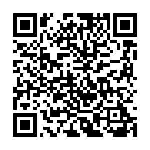 负责登记的是一位看起来年龄不过二十来岁的女子二维码生成