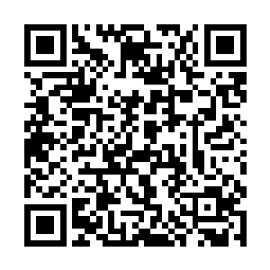 负责第一道关卡考验的赵妍再次出现在了众人的面前二维码生成