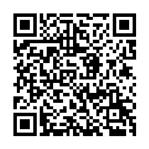 负责给杨眉治疗的女军医倒是不折不扣地完成着领导交办的任务二维码生成