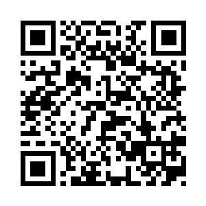 负责这场拍会的是天启拍行的一个管理二维码生成