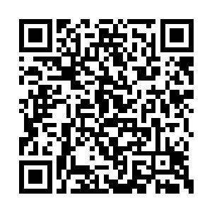 负责通信的棒子连忙把这一情景汇报了防御总局二维码生成