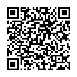负责那边情报的人似乎还查到了一些别的什么线索二维码生成
