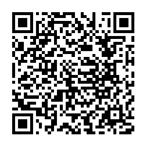 贡国和张斯国的国君果然都很乐意与曦国形成商贸与人才上的合作关系二维码生成