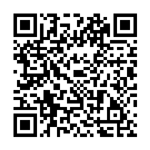 财务科的大多数职工推举了一名叫陈晓荷的普通财务人员二维码生成