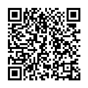 财政局的局长们想着该把干部们涨工资时拖欠的部分补上了二维码生成