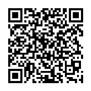 财政局的工作该怎么安排恐怕您得向曹书记和陆县长汇报二维码生成