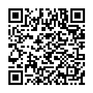 贤侄今天不就是过去处理一个化神后期的修士么二维码生成