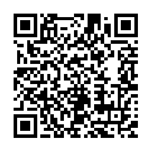 贤者的名号也只是令获得的学者在游历大陆时候方便一点而已二维码生成