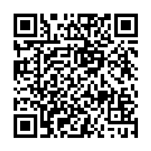 贤者评议是面向整个中部大陆的巫师所举行的公开选拔二维码生成