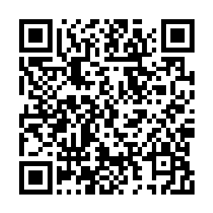 败给了萧晨这一个只有下品武皇后期巅峰的武者二维码生成