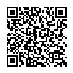 质量上乘绝对男女老少通杀的合家欢剧本出来了二维码生成