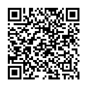 贪婪王风一笑的右手五指就已经深深的刺入了他的脑袋二维码生成